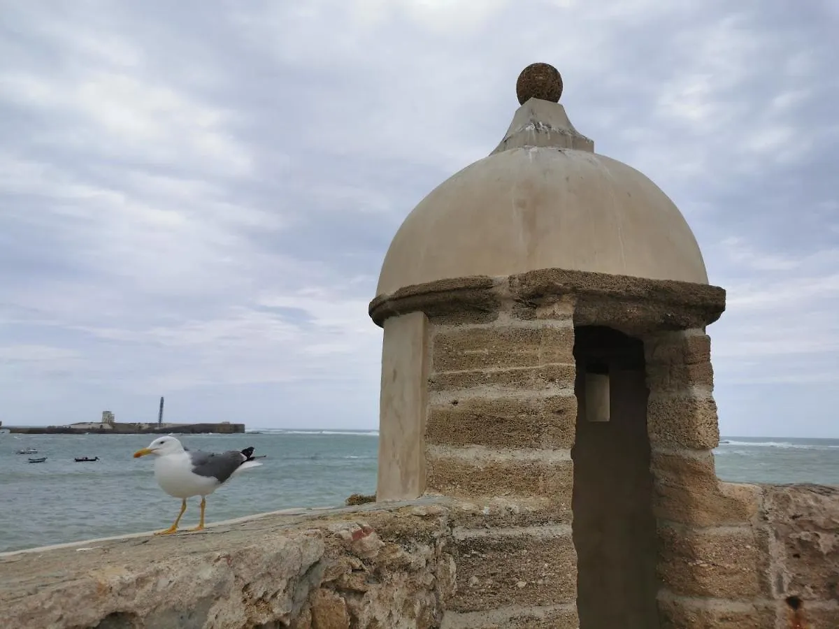 Apartamento Suite Caleta Cádiz España